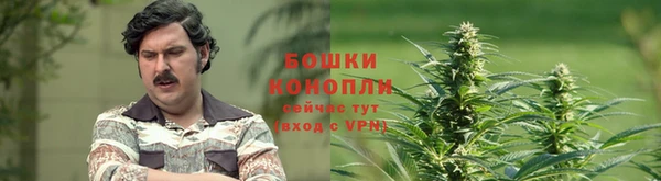 альфа пвп Осинники