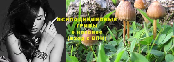 крисы Нязепетровск