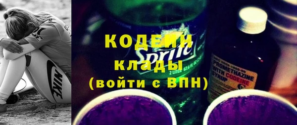соль ск Няндома