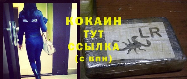 соль ск Няндома