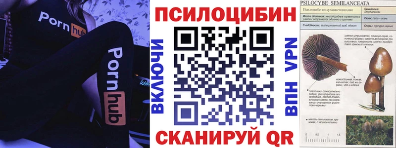 Псилоцибиновые грибы ЛСД  Нюрба 